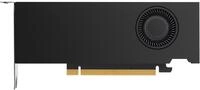 HP NVIDIA RTX A2000 Grafikkarte mit 12 GB