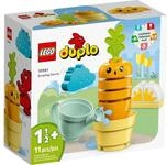 LEGO&reg; DUPLO 10981 Wachsende Karotte