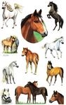 AVERY Zweckform Aufkleber-Set Tiere