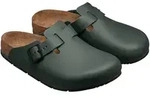 Birkenstock Clogs Boston Pro, thyme, 37