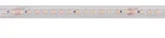 Deko-Light LED Stripe Long Run SMD IP67 48V 10W 1180lm/m 4000K 50m Silikon