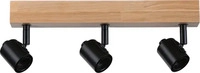 Paulmann 66772 LED Spotlight Arvid E27 230V max. 3x20W dimmbar Schwarz