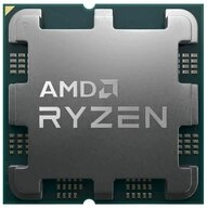AMD Prozessor