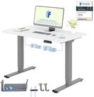 FLEXISPOT Schreibtisch Basic Plus h&ouml;henverstellbarer Schreibtisch mit