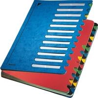 LEITZ Organisationsmappe Ordnungsmappe Deskorganizer Color A4 24 F&auml;cher blau