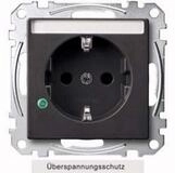 merten Klemmen Merten SCHUKO-Steckdose anth MEG2305-0414