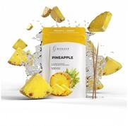 Wunder Zahnstocher Mundpflegecenter mit Geschmack Ananas - 100er Refillpack im
