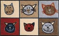 wash+dry by Kleen-Tex Fu&szlig;matte Miau Miau, rechteckig, H&ouml;he: 7 mm,...