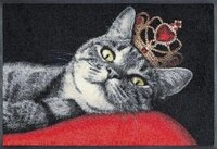 wash+dry by Kleen-Tex Fu&szlig;matte Royal Cat, rechteckig, H&ouml;he: 7 mm,...