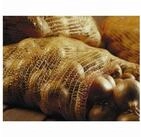 NOOR Gartensack Raschels&auml;cke 50x80cm, 10er Pack Tragkraft: 25kg