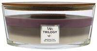 Woodwick Duftkerze Amethyst Sky Duftkerze 453,6 g