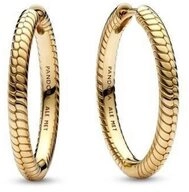 Pandora Paar Creolen SHINE-269532C00