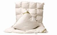 Betten Hofmann 4-Jahreszeitenbett + Kopfkissen Betten Hofmann Ganzjahres Bettset
