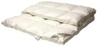 Betten Hofmann Daunenbettdecke Betten Hofmann Franken 8cm Hochsteg Winter...