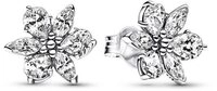 Pandora Paar Ohrstecker 292633C01