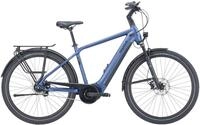 Pegasus E-Bike Pegasus Strong Evo 5R 750 Wh Herren blau 2024, 5 Gang, Nabenschaltung,