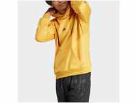 adidas Sportswear Sweatshirt BL HD Q4 000 PREYEL