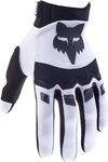 Fox Racing Motorradhandschuhe Dirtpaw 2023 Motocross Handschuhe schwarz S