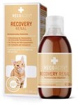 RECOACTIV Recovery Renal Tonicum, Erg&auml;nzungsfuttermittel f&uuml;r: Katze