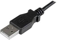 Startech.com TV-Kabel