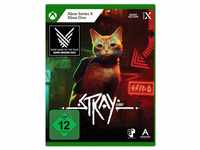 Stray Xbox Series X