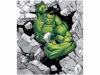 Komar Hulk Breaker 250 x 280 cm (IADX5-060)