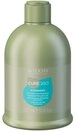 Alterego Haarshampoo Alterego Curego Hydraday Shampoo 300ml