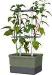 Gusta Garden Pflanzk&uuml;bel CHARLY CHILI (inkl. stabiler Rankhilfe und