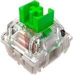 RAZER Tastatur-Tastenkappen Mechanical Switches Pack gr&uuml;n