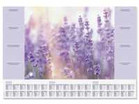 sigel Lavendel lila 30 Blatt (HO308)