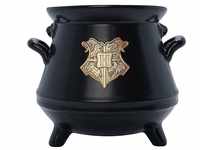 ABYstyle Harry Potter Mug 3D Cauldron