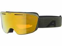 Alpina Sports Skibrille NENDAZ Q-LITE olive matt