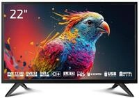 Dyon Enter 22 PRO X2 LED-Fernseher (55 cm/22 Zoll, Full HD, Nein, 24" Full HD...