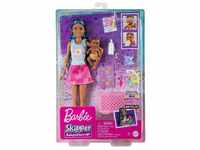 Barbie Babysitter Skipper (HJY34)