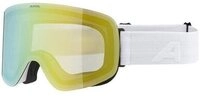 Alpina Sports Skibrille PENKEN,white matt