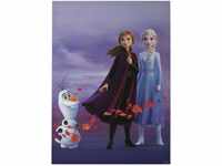 Disney Frozen Elsa, Anna & Olaf 50x70cm