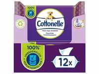 Cottonelle® Toilettenpapier Feuchtes Toilettenpapier - Seide & Jasmin, 12x42