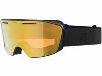 Alpina Sports Skibrille NENDAZ Q BLACK MATT