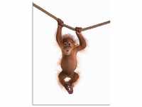 Art-Land Baby Sumatra Orang Utan hängt an einem Seil 60x80cm