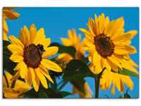 Artland Leinwandbild Sonnenblumen, Blumen (1 St), auf Keilrahmen gespannt