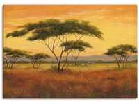 Artland Wandbild Afrikalandschaft, Afrika (1 St), als Alubild, Outdoorbild,
