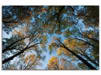 Artland Wandbild Herbst im Wald, Bäume (1 St), als Alubild, Outdoorbild,