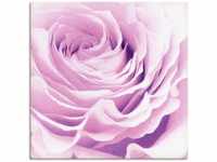 Art-Land Pastell Rose 100x100cm