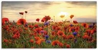 Artland Wandbild Mohnblumen, Blumen (1 St), als Alubild, Leinwandbild, Poster in
