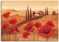 Artland Wandbild Mohnblumen in der Toskana, Europa (1 St), als Leinwandbild, Poster