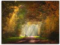 Artland Wandbild Licht am Ende des Tunnels..., Wald (1 St), als Leinwandbild,