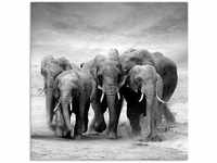 Artland Wandbild Elefanten, Wildtiere (1 St), als Leinwandbild, Poster,...