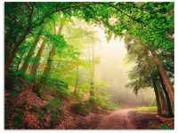 Artland Wandbild Natürliche Torbögen durch Bäume, Wald (1 St), als Alubild,