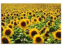 Artland Wandbild Sonnenblumenfeld, Blumen (1 St), als Alubild, Outdoorbild,