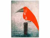 Art-Land Der Rote Vogel 60x80cm